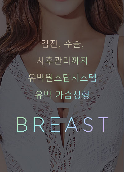 가슴