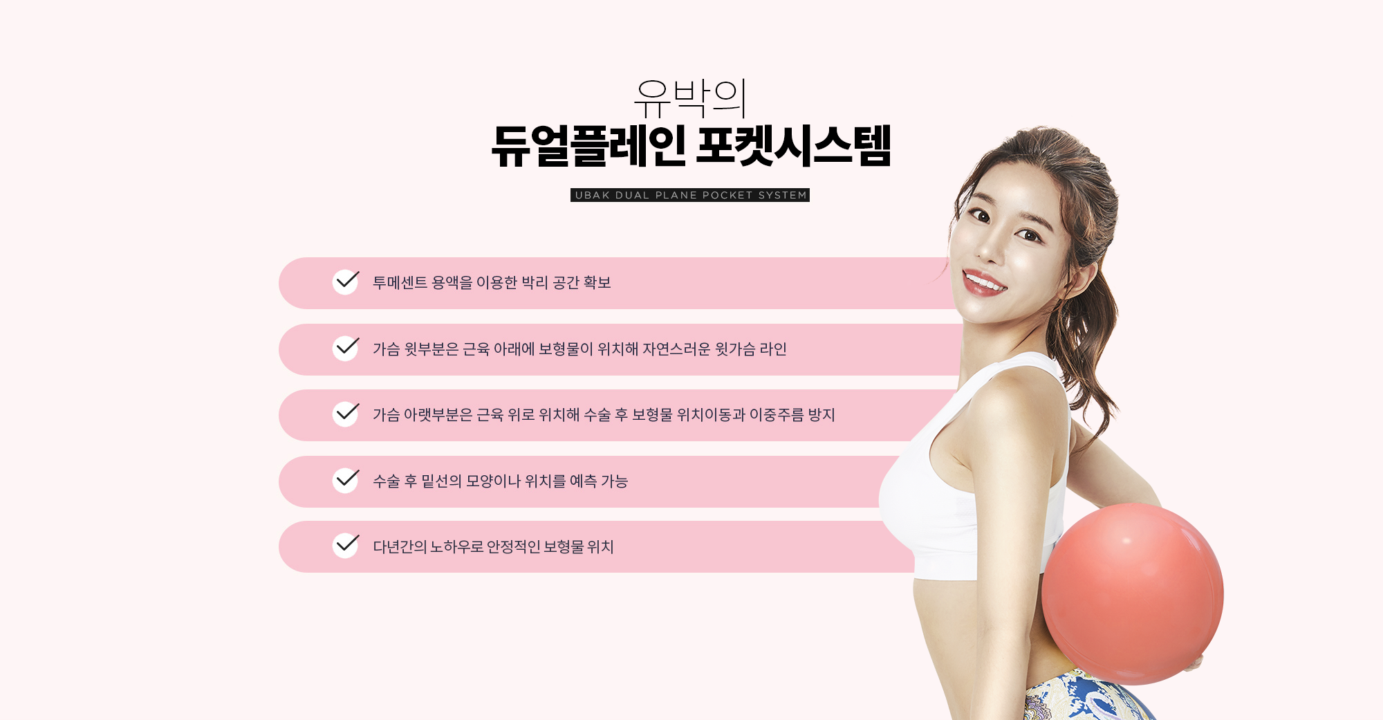 듀얼플레인 포켓시스템