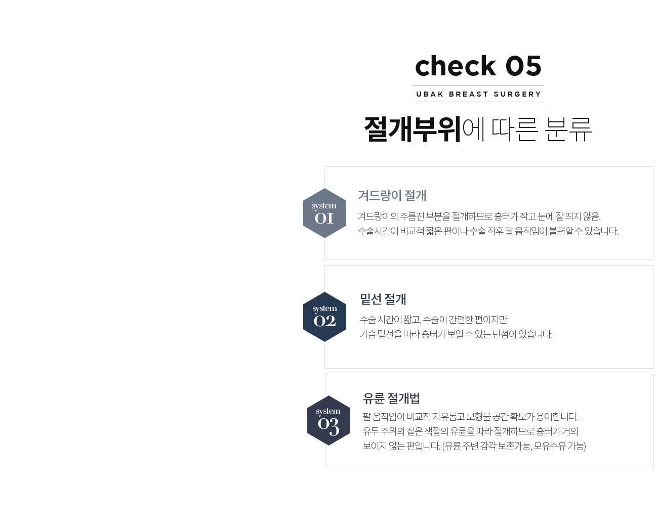 절개부위에 따른 분류