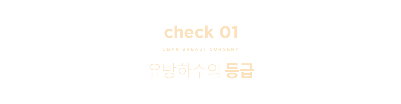 유방하수의 등급