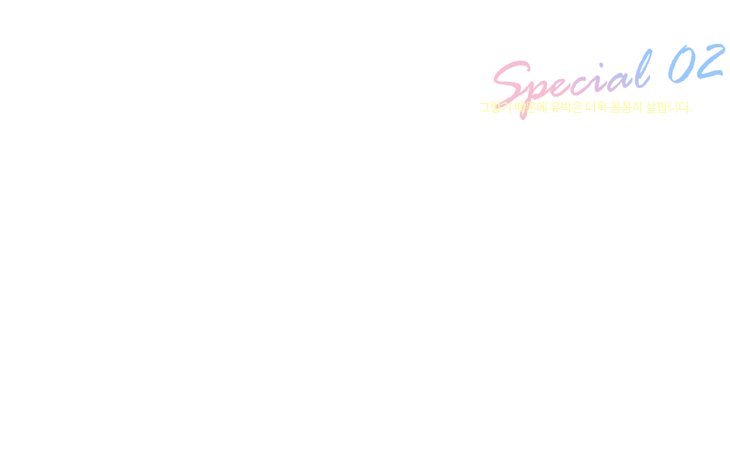 성형의 모든 과정을 본원 원장이 직접 수술합니다.