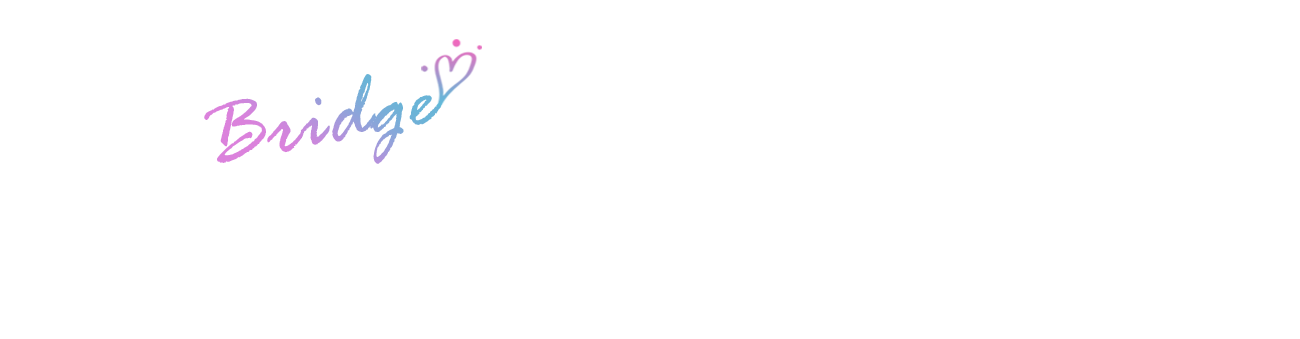 브릿지