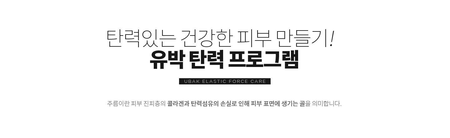 탄력 프로그램